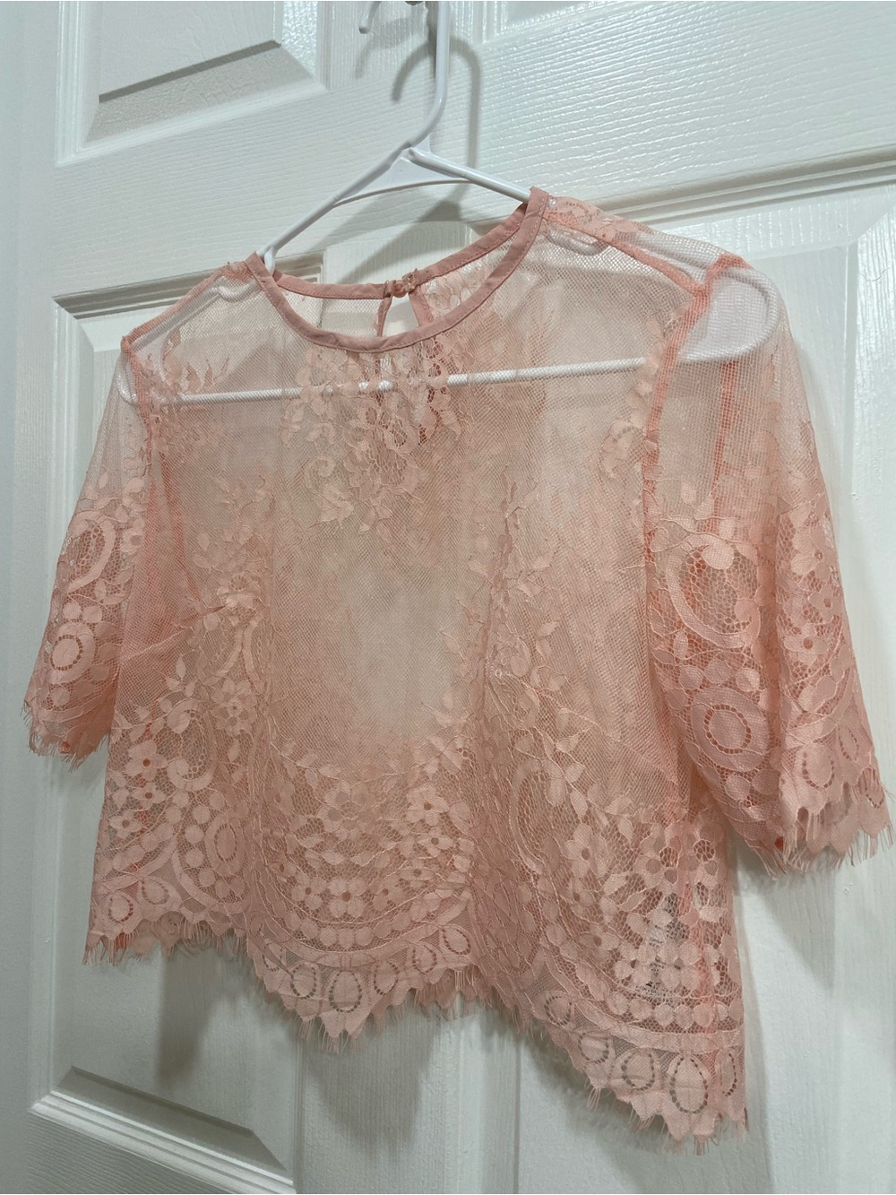 Delicate Pink Lace Short Sleeve Blouse